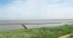 Nebel (Amrum) 14.06.2025 14:23
