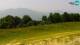 Pamparato 09.06.2025 14:23