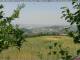 Fornovo di Taro 13.06.2025 14:23