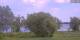 Werder (Havel) 29.04.2025 14:23
