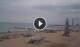 Jesolo 05.07.2025 14:24