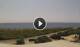Torre San Giovanni 15.06.2025 14:24