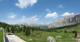 Selva di Val Gardena 15.06.2025 14:25