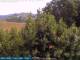 Bolonia 08.06.2025 14:25