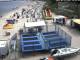 Heringsdorf (Usedom) 15.06.2025 14:25