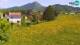 Medvode 30.04.2025 14:26