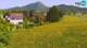 Medvode 29.04.2025 14:26