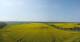 Kap Arkona 30.04.2025 14:27