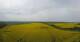 Capo Arkona 29.04.2025 14:27