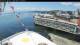Norwegian Bliss 14.06.2025 14:27