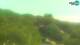 Fažana 14.07.2025 14:31