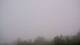 Lourdes 12.06.2025 14:27