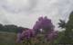 Montbliart 09.06.2025 14:28