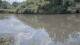 Les Landes-Genusson 15.06.2025 14:28