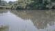 Les Landes-Genusson 09.06.2025 14:28
