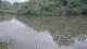 Les Landes-Genusson 11.06.2025 14:28