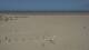 Dunkerque 15.06.2025 14:28