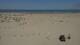 Dunkirk 08.07.2025 14:28