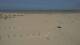 Dunkerque 14.06.2025 14:28
