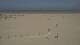 Dunkerque 29.04.2025 14:28