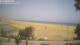 Maspalomas (Gran Canaria) 15.07.2025 14:32