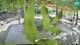 Lubiana 09.07.2025 14:28