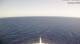 AIDAcosma 08.06.2025 14:28