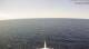 AIDAcosma 25.04.2025 14:29