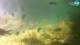 Brijuni 08.07.2025 14:28