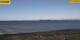 Gold auf Fehmarn 10.05.2025 14:29