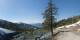 Prarion 29.04.2025 14:19