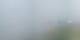 Prarion 07.07.2025 14:19