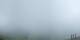 Grindelwald 15.07.2025 14:21
