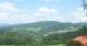Zierling 03.07.2025 14:29