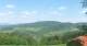 Zierling 29.04.2025 14:30