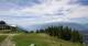 Aprica 18.06.2025 14:29