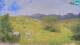Kobarid 13.07.2025 14:33