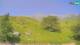 Kobarid 08.06.2025 14:30