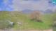 Kobarid 29.04.2025 14:30