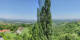 Kitzeck im Sausal 29.04.2025 14:31