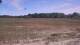 Les Landes-Genusson 05.07.2025 14:30