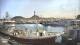 Vestmannaeyjar 14.06.2025 14:30