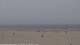 Nes (Ameland) 29.04.2025 14:31