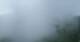 Maizuru 09.06.2025 14:31