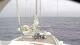 Le Ponant 30.04.2025 14:32