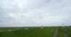 Westerhever 15.06.2025 14:31