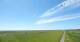 Westerhever 20.06.2025 14:31