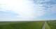 Westerhever 14.06.2025 14:31