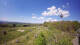 Schotten 30.04.2025 14:32