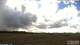 Bilinga 29.04.2025 14:32